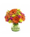 Le bouquet Because You Are Special par FTD